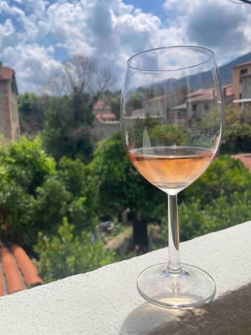 Appartement Neuf, Grande Terrasse Plein Sud Laroque-des-Alberes Bagian luar foto